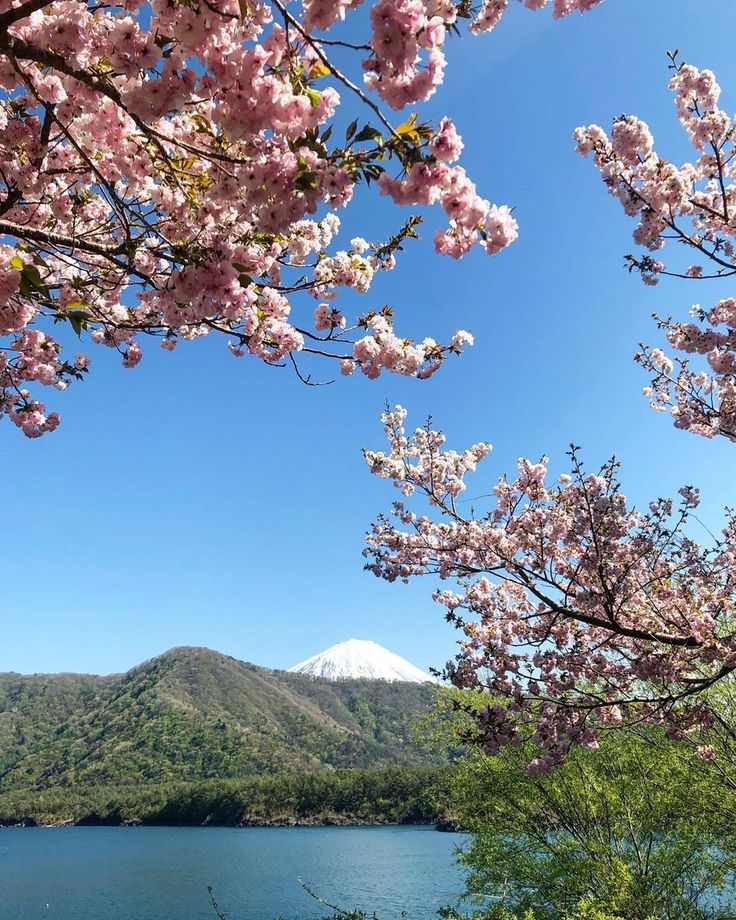 Lac Sai-ko