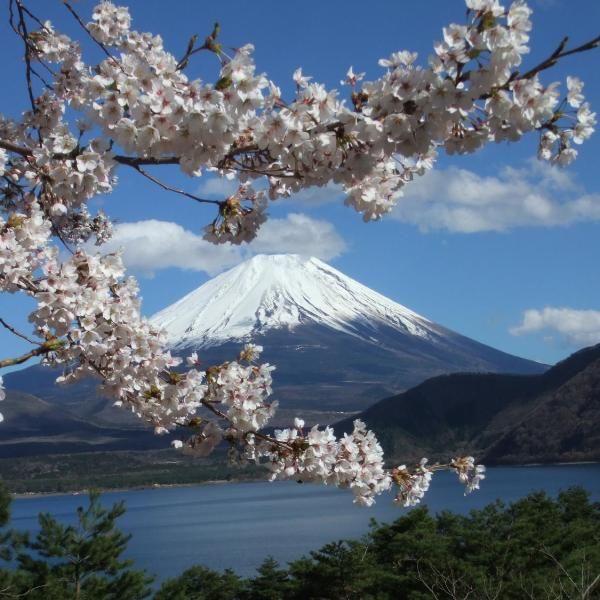 Lac Motosu (Motosu-ko) 
